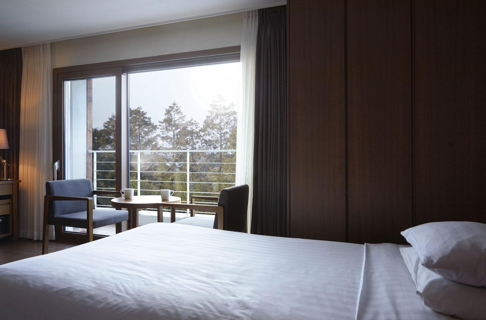 Jeju Aerospace Hotel Согвипхо Экстерьер фото