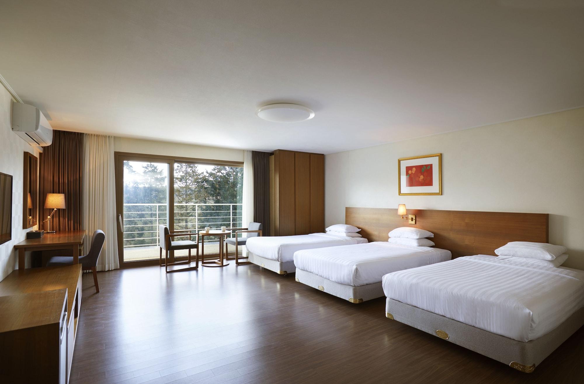 Jeju Aerospace Hotel Согвипхо Экстерьер фото