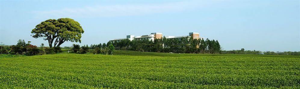 Jeju Aerospace Hotel Согвипхо Экстерьер фото